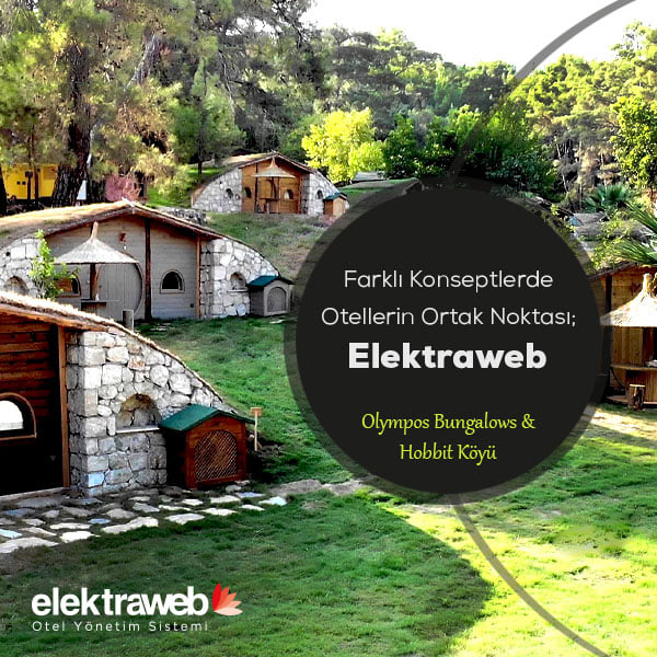 162227488 3943400619044710 3632902596303044106 n